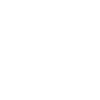 vfdv